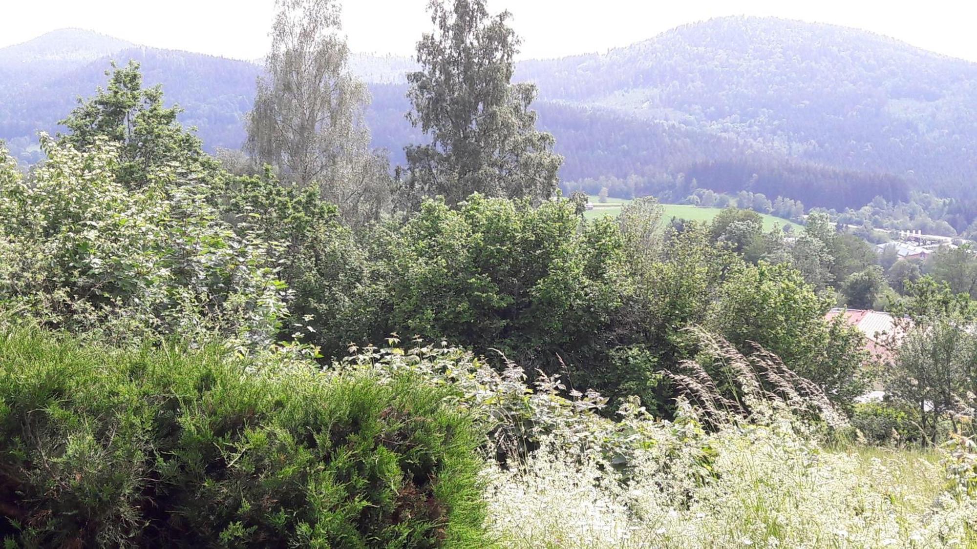 Fewo-Harlachberg-Blick-1 Bodenmais Exterior photo
